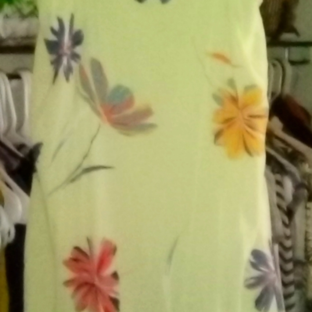 Woman's Dress